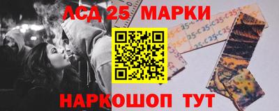 твердый Бердск