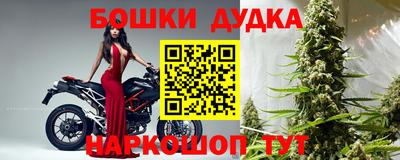 твердый Бердск