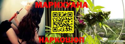 твердый Бердск